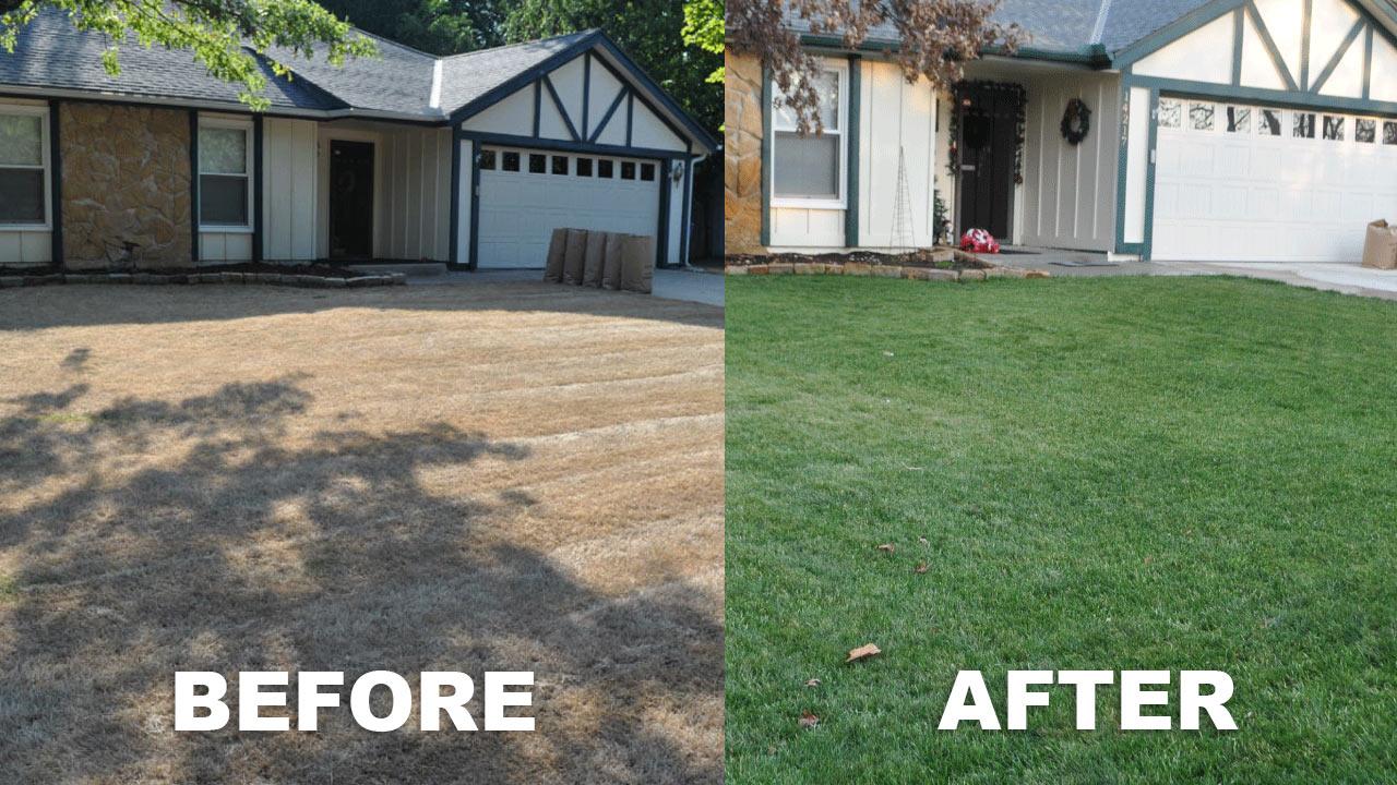 Before and after lawn restoration project